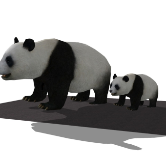 精品动物模型 -熊猫